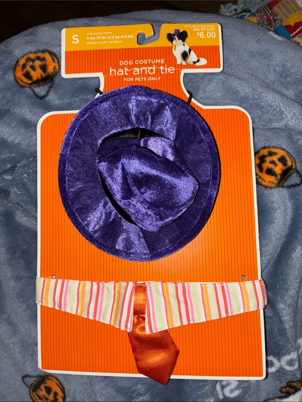 Target Purple Hat with Orange Tie and Striped Collar Size Small